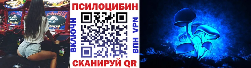 Псилоцибиновые грибы Psilocybine cubensis  дарк нет телеграм  Сергач  кракен ONION 